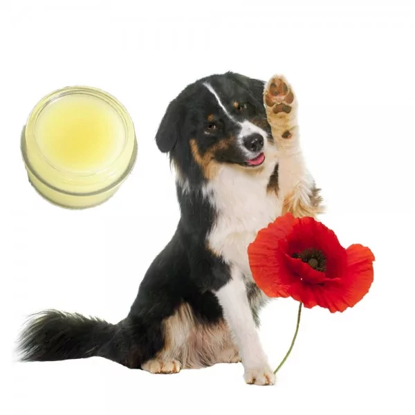 BAUME PATTES CHIEN PARFUM COQUELICOT