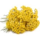 Hydrolat d'Helichryse Immortelle  bio