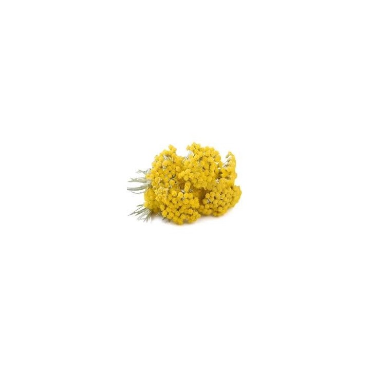 Hydrolat d'Helichryse Immortelle  bio