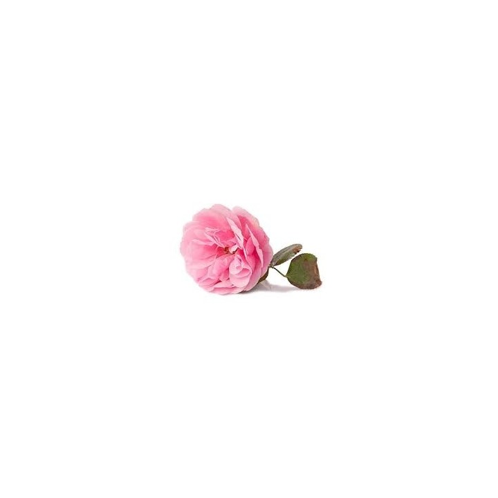 Hydrolat Rose Damas