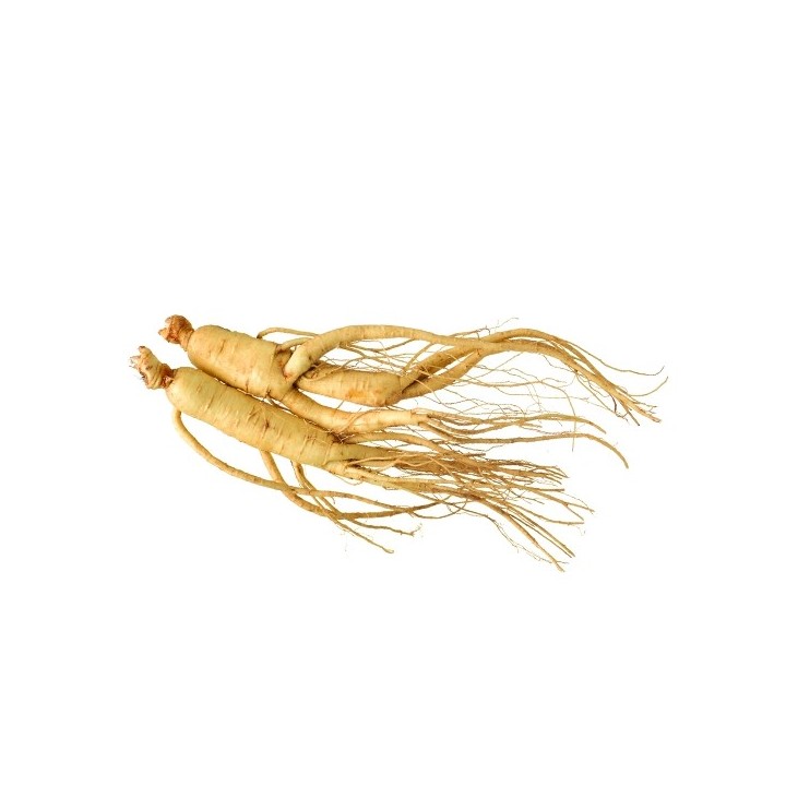 Parfum cosmétique Ginseng 