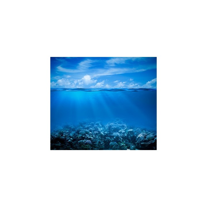 Parfum cosmétique Criste Marine