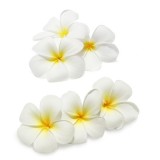 Parfum cosmétique Jasmin Précieux 