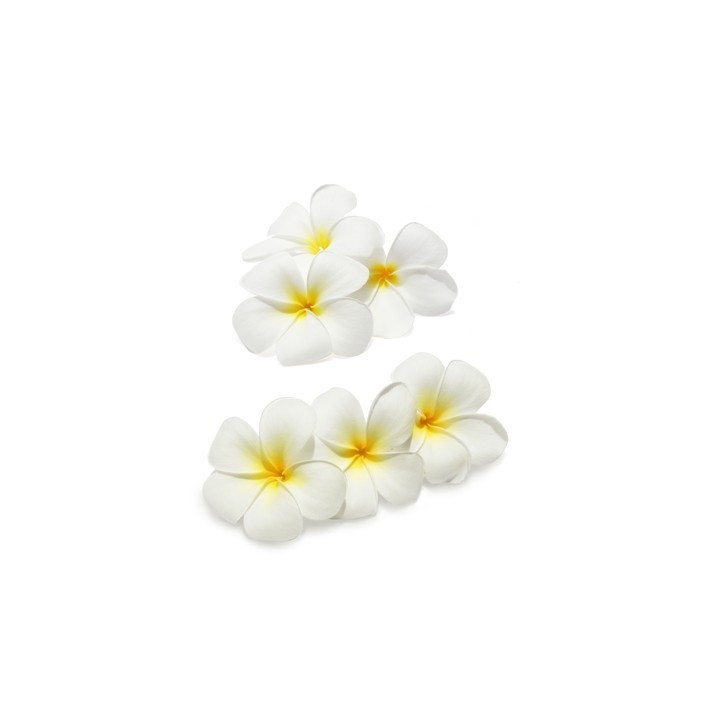Parfum cosmétique Jasmin Précieux 