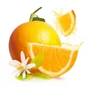 Natural aroma naranja flor