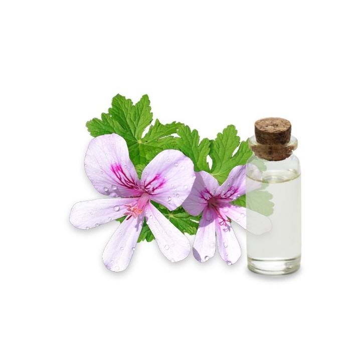 Hydrolat de Geranium Bourbon bio 