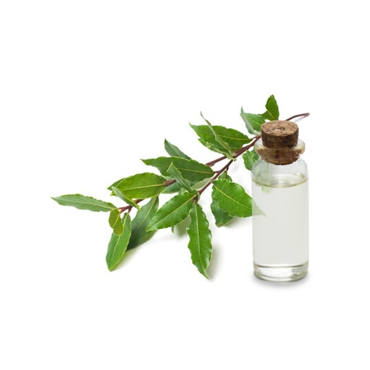 Hydrolat de Laurier Noble bio 