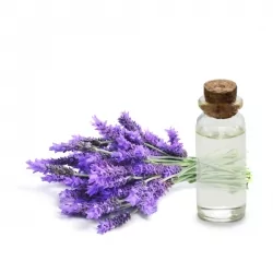 Hydrolat Lavender Officinale bio Francja 