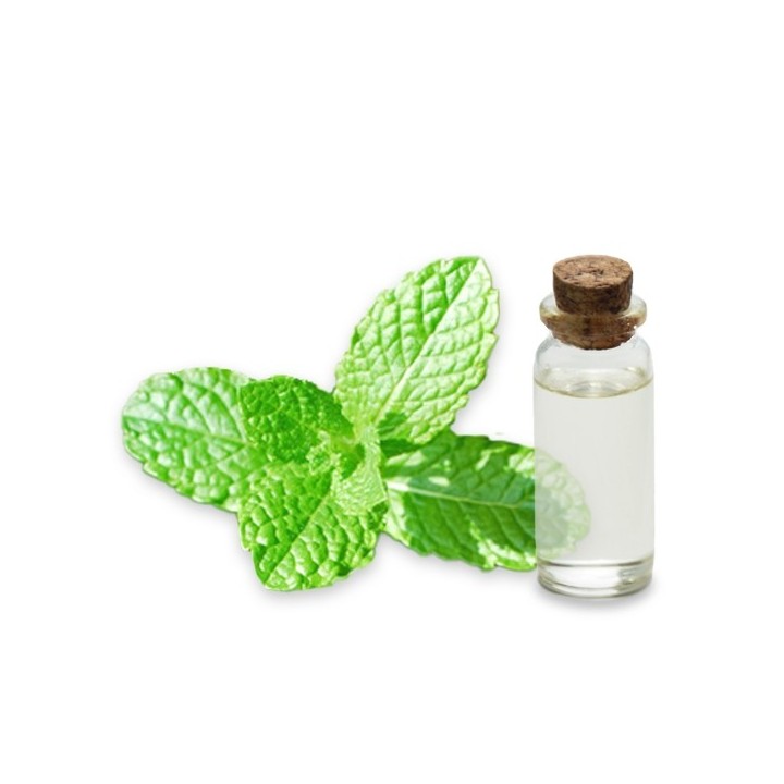 Hydrolat de Mélisse bio de Provence 