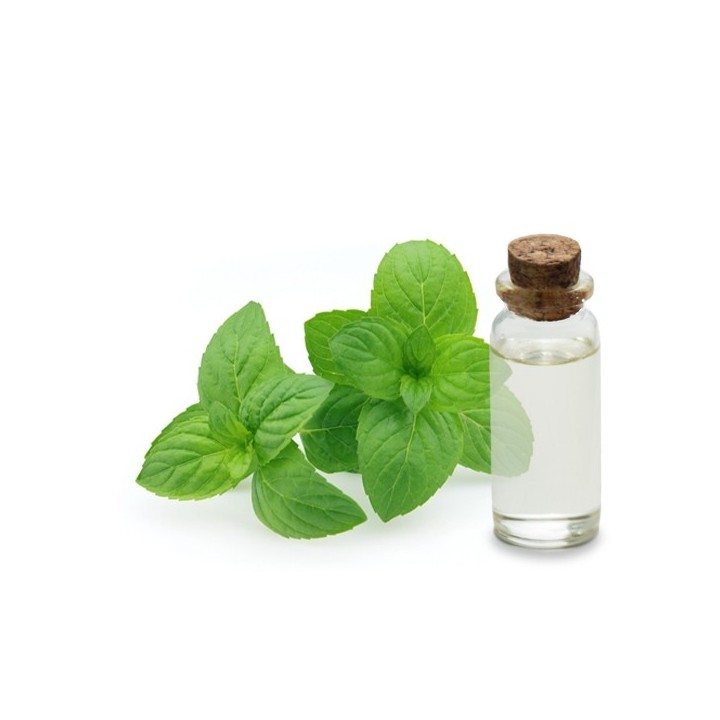 Hydrolat Menthe Poivrée bio France 