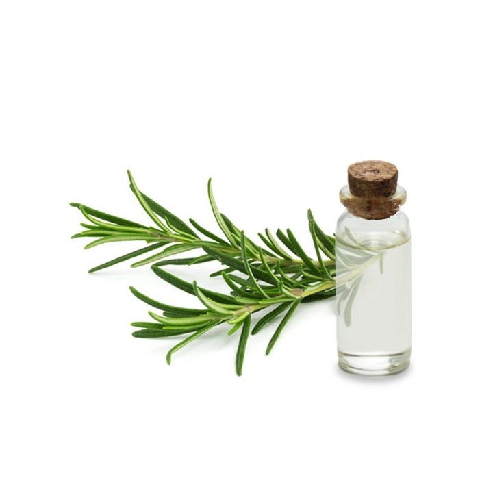 Hydrolat de Romarin Officinal Bio
