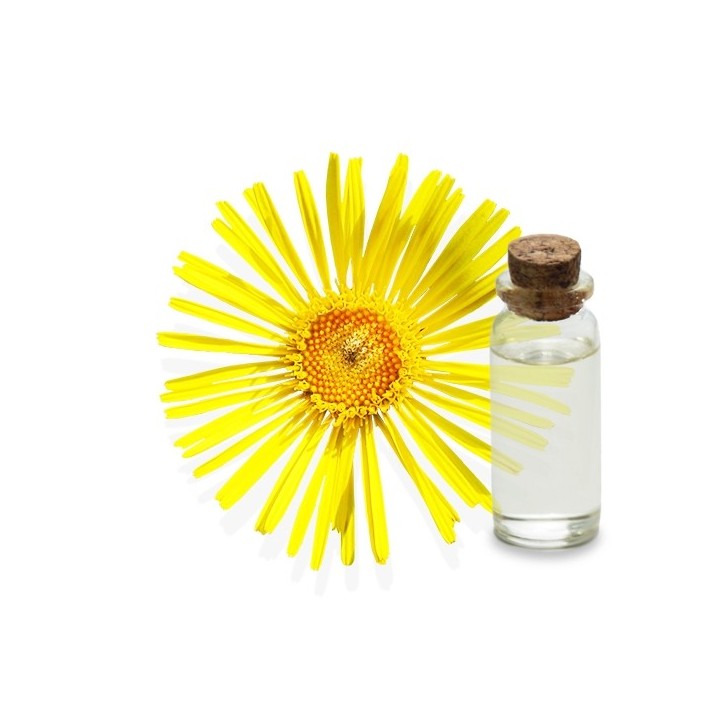 Hydrolat d'Inule odorante  Bio