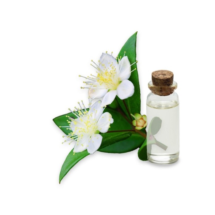 Hydrolat de Myrte verte Bio