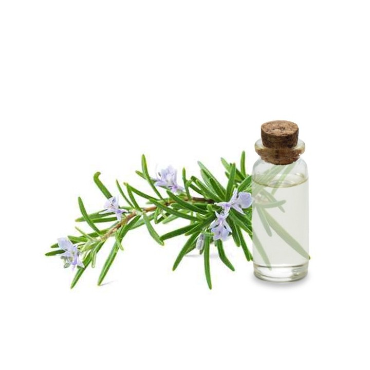 Hydrolat de Romarin Officinal Bio
