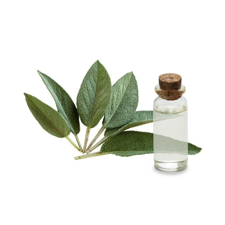 Hydrolat de Sauge officinale Bio