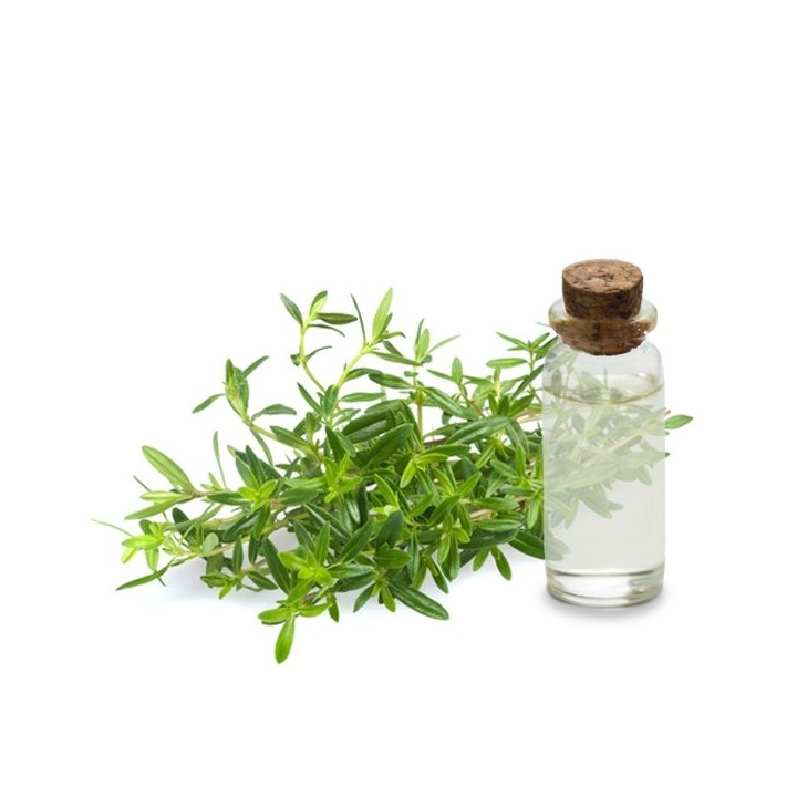 Hydrolat de Romarin Verbenone Bio