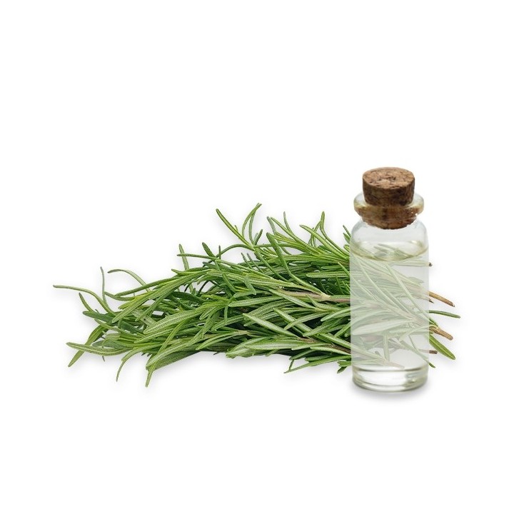 Hydrolat Romarin camphré Bio