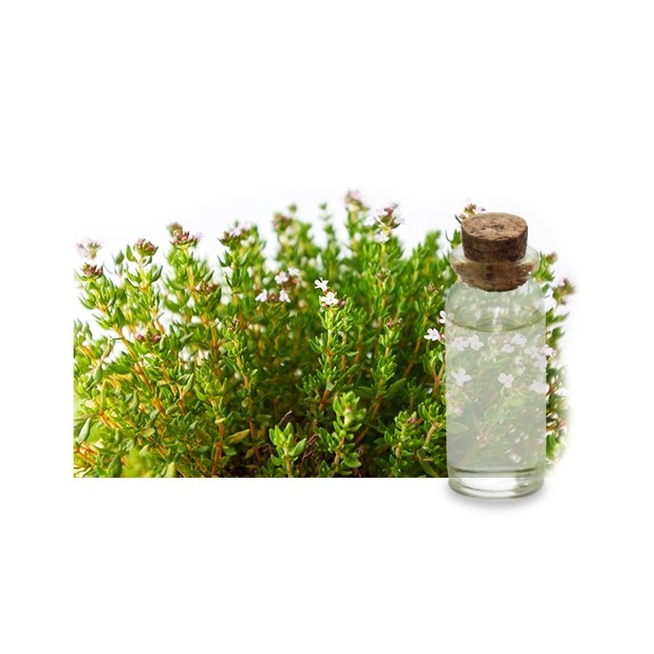 Hydrolat de thym thujanol bio 