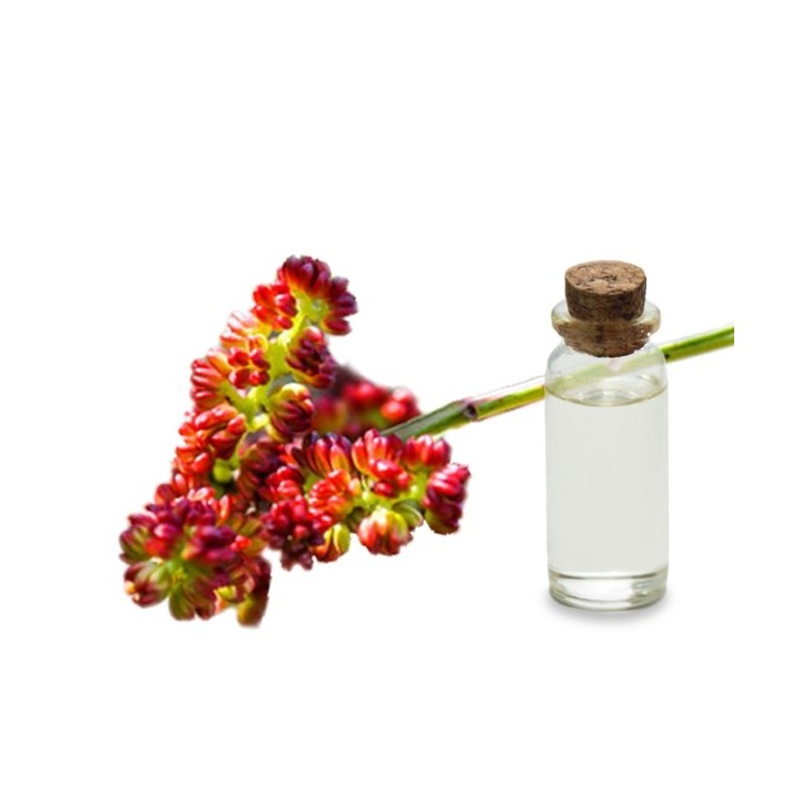 Hydrolat de Lentisque Bio