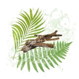 Parfum cosmétique Boisé