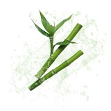 Parfum cosmétique Bambou