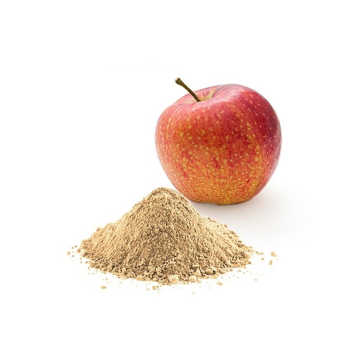 Pomme POUDRE DE FRUIT