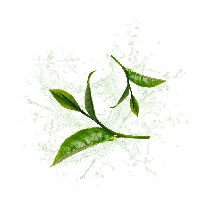 Parfum cosmétique Thé Vert
