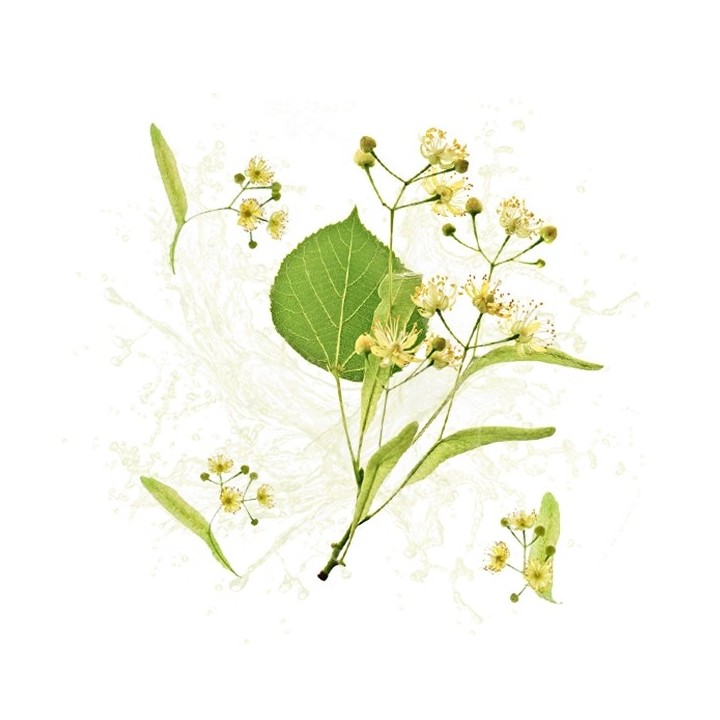 Parfum cosmétique Tilleul