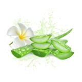 Parfum cosmétique Aloe vera