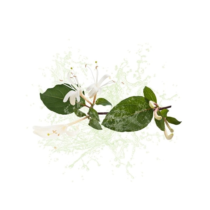 Parfum cosmétique Chevrefeuille