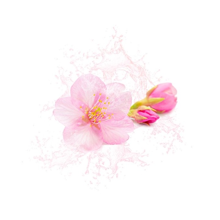 Arôme alimentaire naturel fleur de cerisier