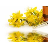 Hydrolat de Millepertuis Sauvage Bio France