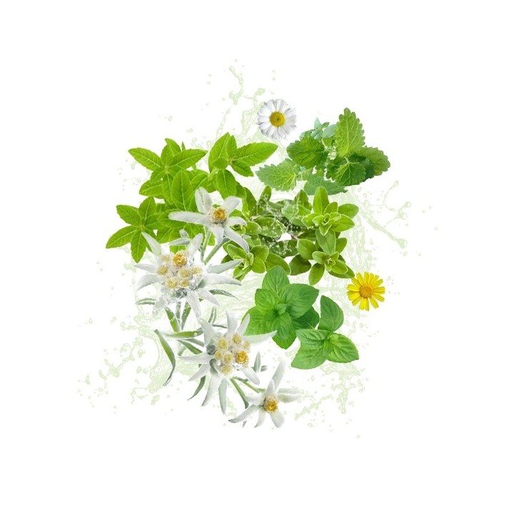 Parfum cosmétique Herbe des Alpes 