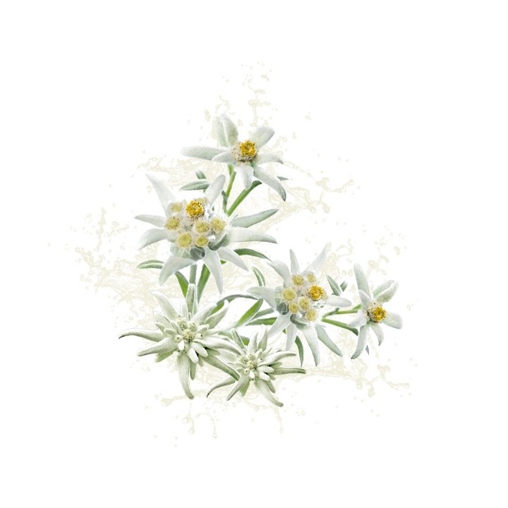 Parfum cosmétique Edelweiss Suisse 