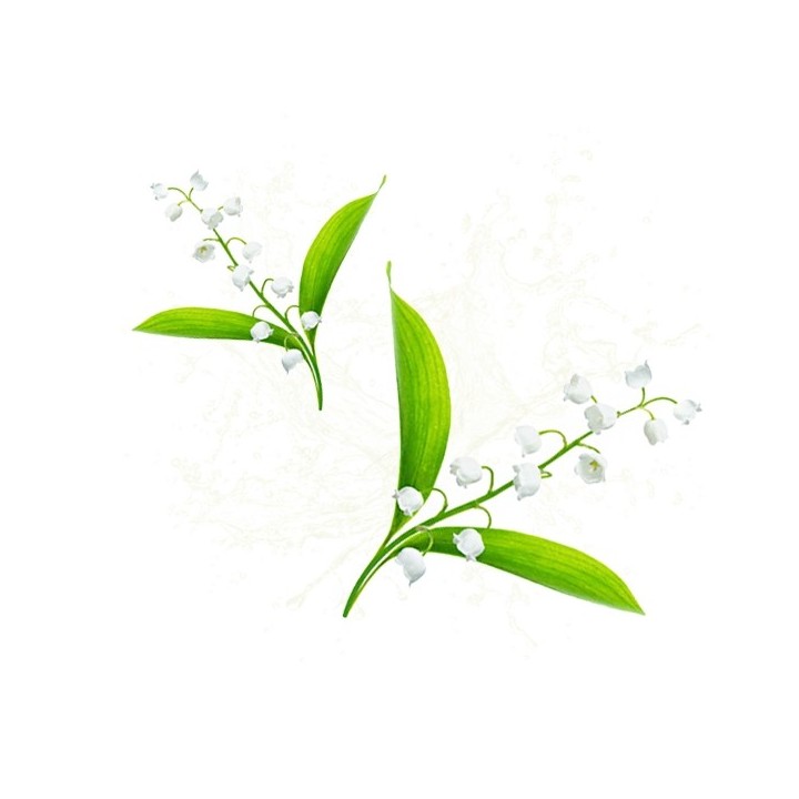 Parfum cosmétique Fleur de Muguet 