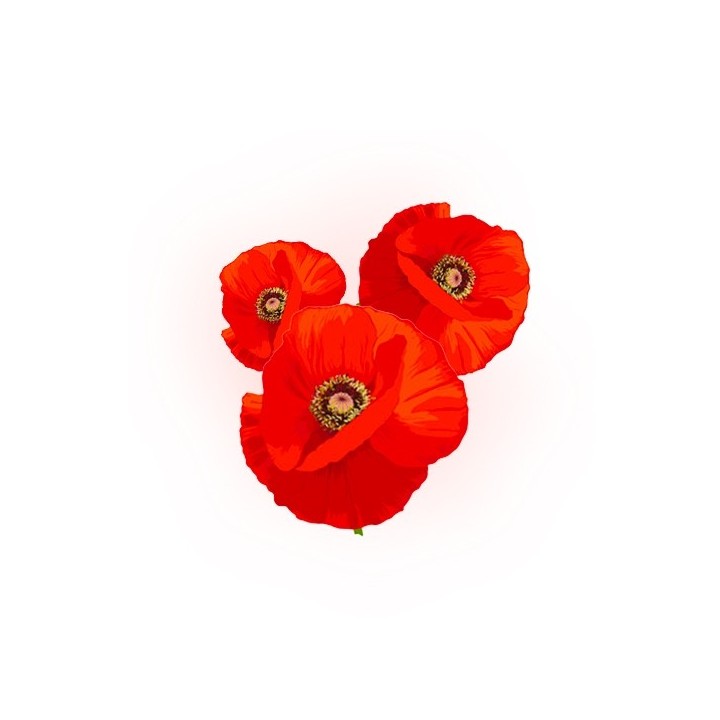 Coquelicot 