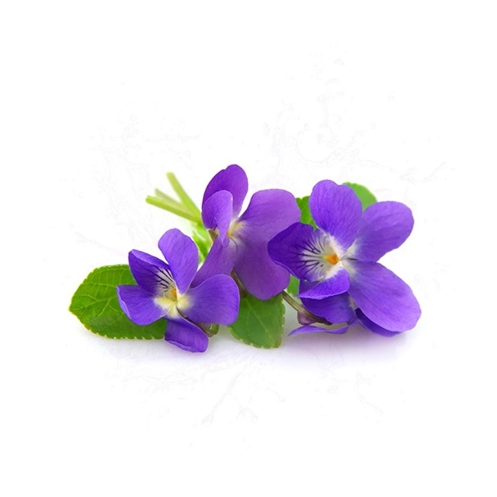 Parfum cosmétique Violette