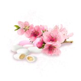 Parfum cosmétique Dragée Fleur de cerisier 