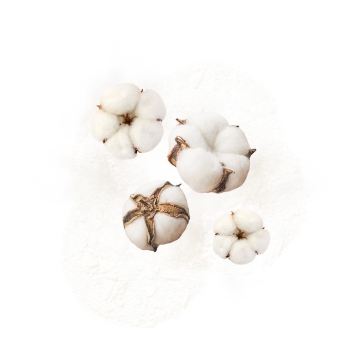 Parfum cosmétique Fleur de Coton 