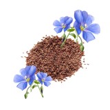 Parfum cosmétique Lin Frais 
