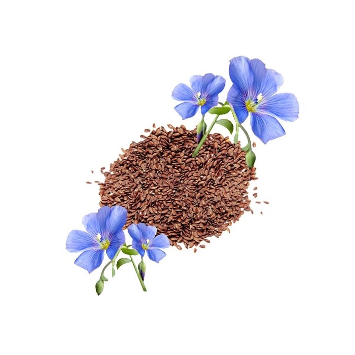 Parfum cosmétique Lin Frais 