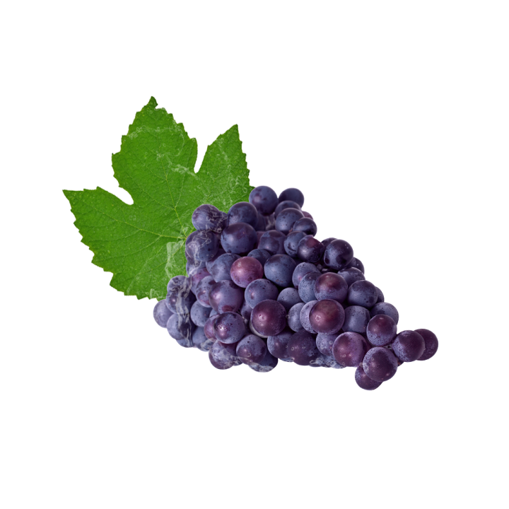 Parfum cosmétique Raisin Noir