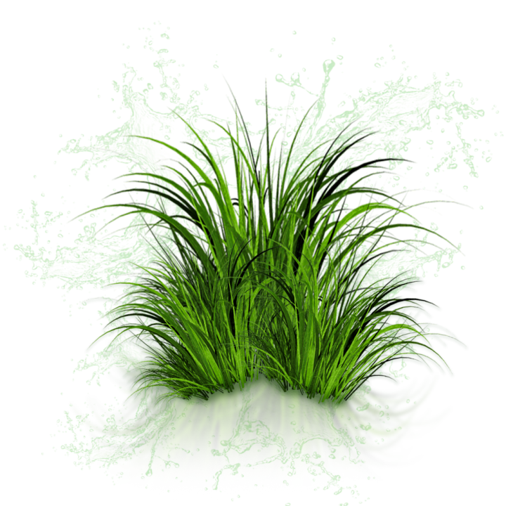 Parfum cosmétique Herbe Coupée