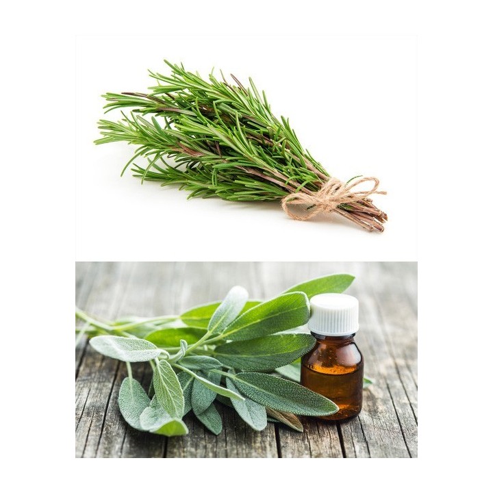 Parfum cosmétique Sauge romarin 