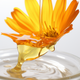 Calendula fleurs MACÉRAT HUILEUX BIO