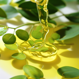 MACERAT HUILEUX FEUILLES DE MORINGA