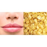 Cire de Candelilla  pure et naturelle 