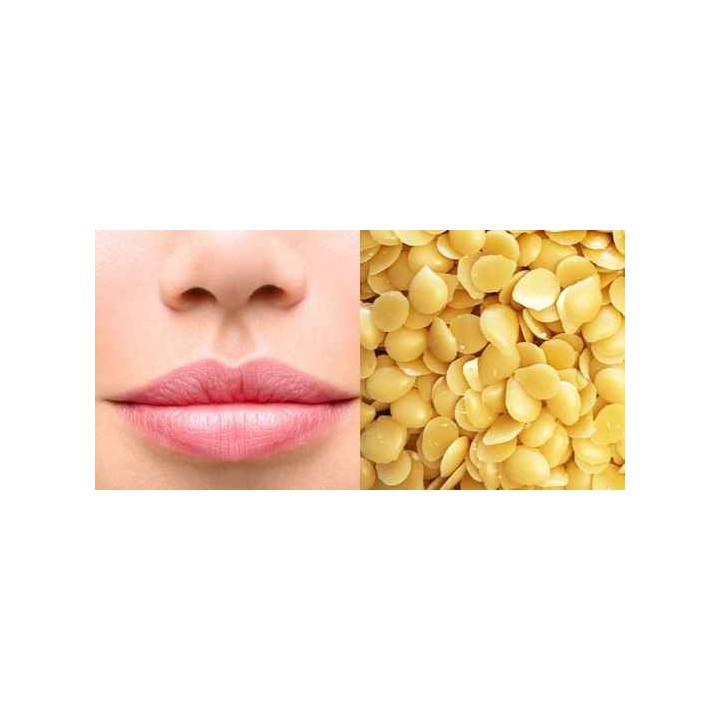 Cire de Candelilla  pure et naturelle 