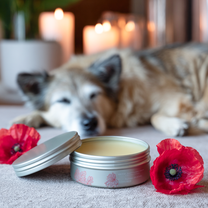 BAUME PATTES CHIEN PARFUM COQUELICOT