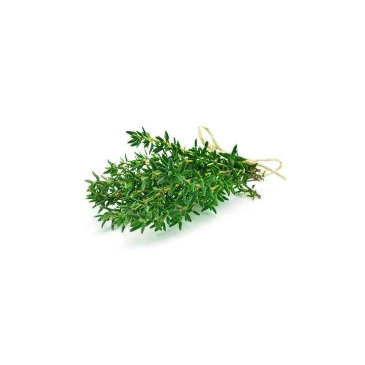 Hydrolat de Thym Thymol  BIO